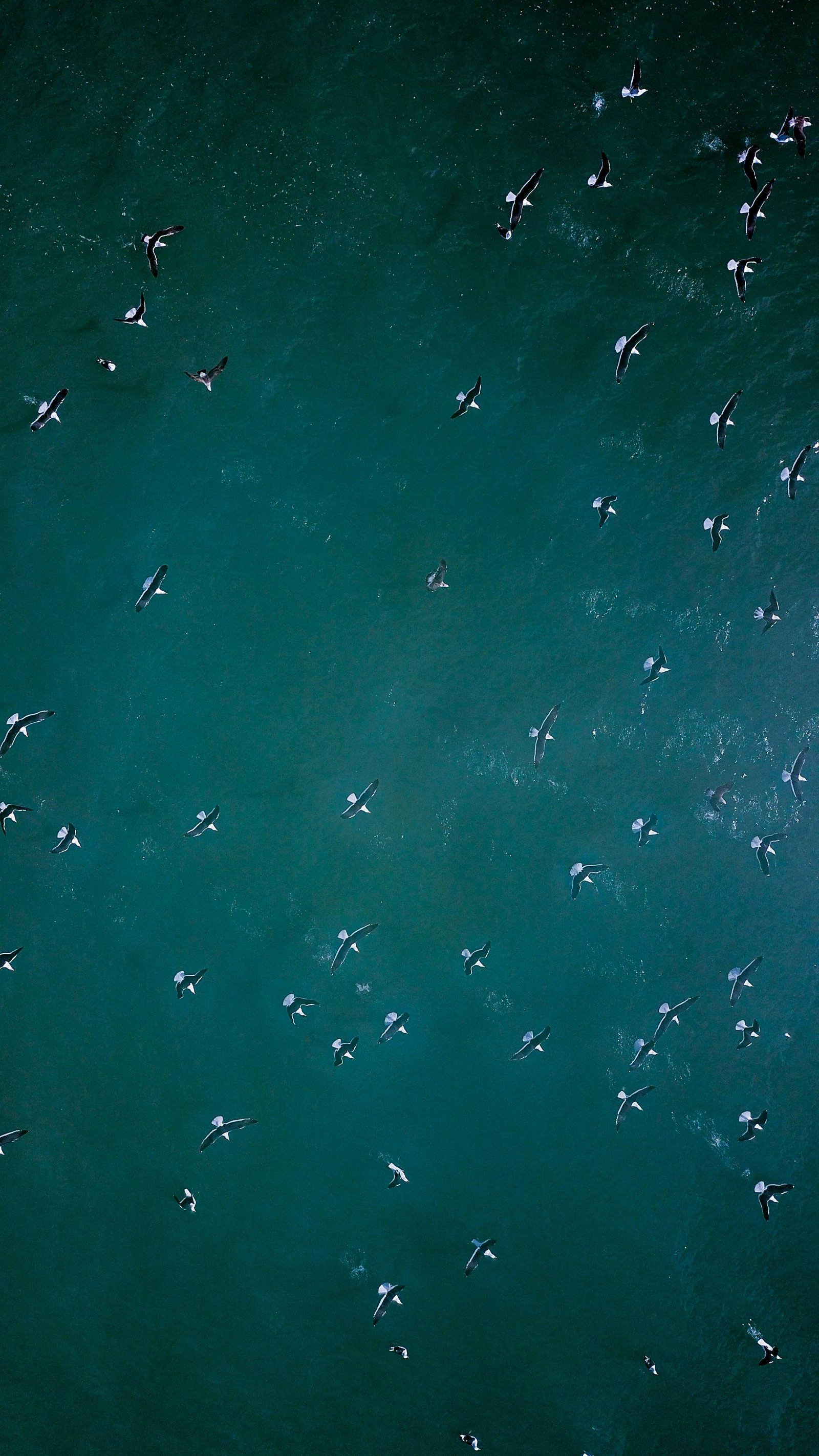 Investing in the Adriatic Food Industry: The Best Investment Strategies